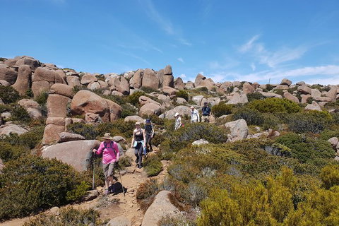 Alpine Loop - Accommodation Tasmania 2