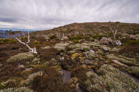 Alpine Loop - Accommodation Tasmania 0