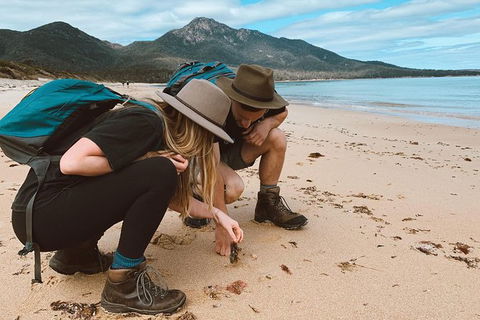 Freycinet Walking Tour - Accommodation Tasmania 0