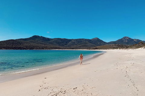 Freycinet Walking Tour - Accommodation Tasmania 5