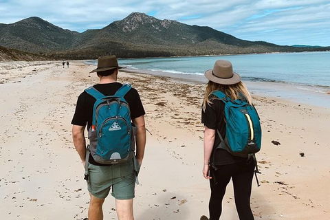 Freycinet Walking Tour - Accommodation Tasmania 7