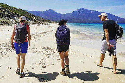Freycinet Walking Tour - Accommodation Tasmania 1