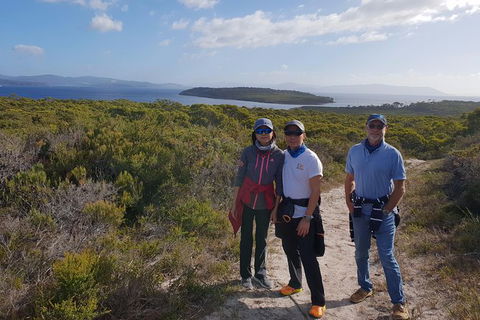 Maria Island And East Coast Five Day Cruise - Accommodation Tasmania 2