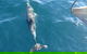 Maria Island And East Coast Five Day Cruise - thumb 4