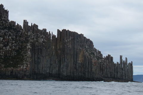 Maria Island And East Coast Five Day Cruise - Accommodation Tasmania 6
