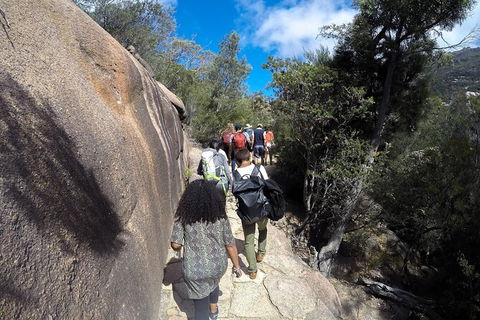 Wineglass Bay Beach Hike - Accommodation Tasmania 12