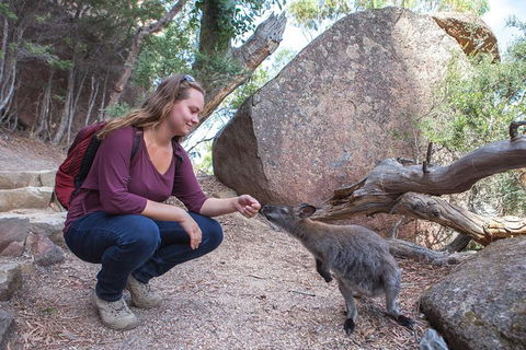 Wineglass Bay Beach Hike - Accommodation Tasmania 25