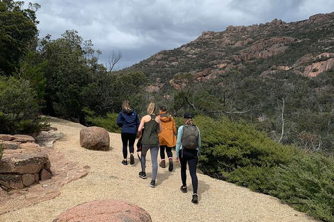 Wineglass Bay Beach Hike - Accommodation Tasmania 26