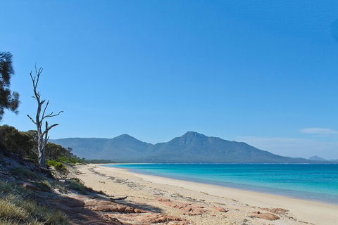 Wineglass Bay Beach Hike - Accommodation Tasmania 1