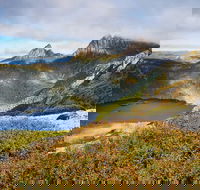 Cradle Mountain Private Charter Service - Accommodation Tasmania