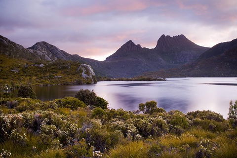 Cradle Mountain Private Charter Service - Accommodation Tasmania 3