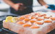 Deep-to-Dish: Tasmanian Seafood Experience - Morning Tour - thumb 7