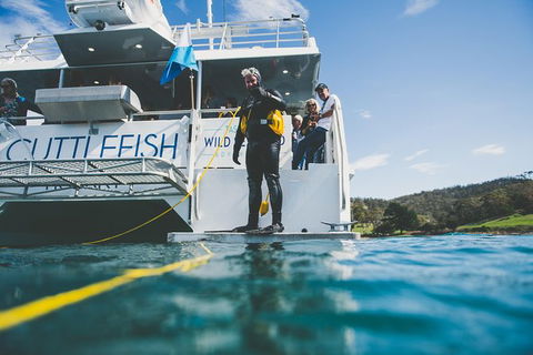 Deep-to-Dish: Tasmanian Seafood Experience - Morning Tour - Accommodation Tasmania 11