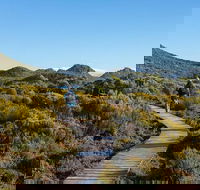 Hartz Mountains premium private photo-oriented day tour from Hobart - Accommodation Tasmania