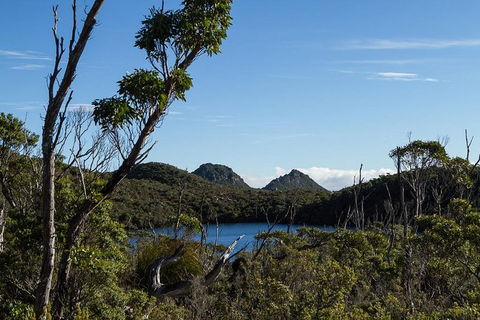 Hartz Mountains Premium Private Photo-oriented Day Tour From Hobart - Accommodation Tasmania 1