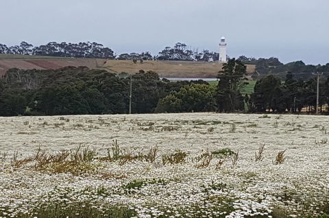 Cruise Ship Excursion: NW Tassie Coastal Explorer - Accommodation Tasmania 14