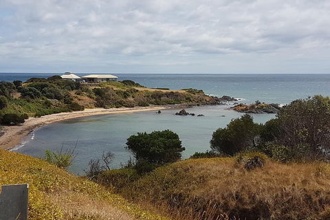 Cruise Ship Excursion: NW Tassie Coastal Explorer - Accommodation Tasmania 13