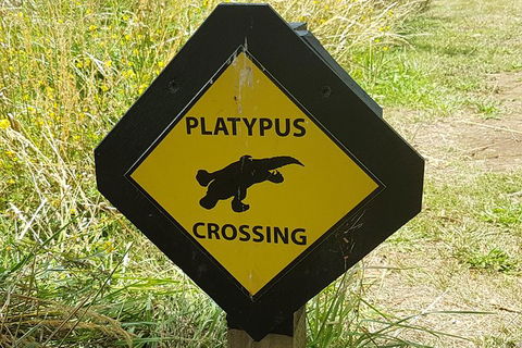 Cruise Ship Excursion: NW Tassie Coastal Explorer - Accommodation Tasmania 11