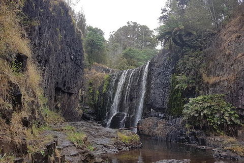 Cruise Ship Excursion: NW Tassie Coastal Explorer - Accommodation Tasmania 16