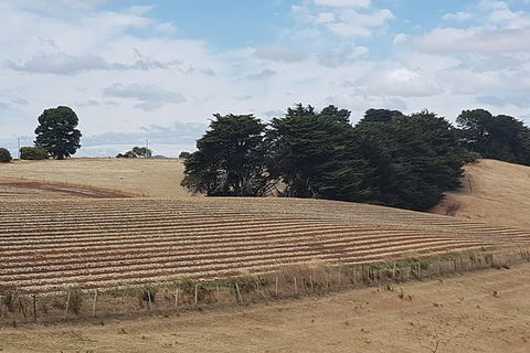 Cruise Ship Excursion: NW Tassie Coastal Explorer - Accommodation Tasmania 9