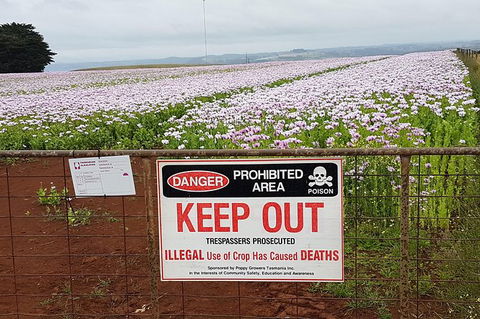 Cruise Ship Excursion: NW Tassie Coastal Explorer - Accommodation Tasmania 10