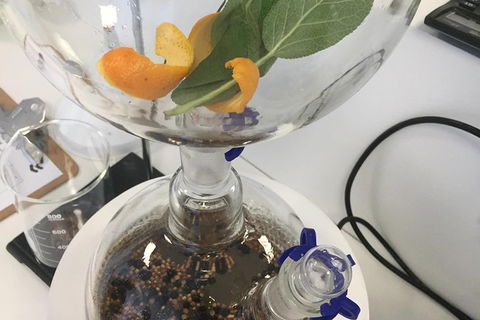Master Gin Making Classes - Accommodation Tasmania 3