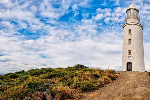 Bruny Island Private Charter Service - Accommodation Tasmania 3
