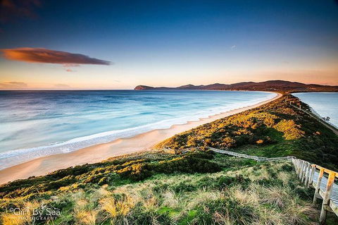 Bruny Island Private Charter Service - Accommodation Tasmania 0