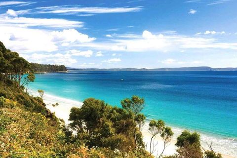 Bruny Island Private Charter Service - Accommodation Tasmania 1