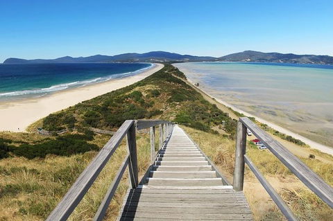 Bruny Island Private Charter Service - Accommodation Tasmania 2