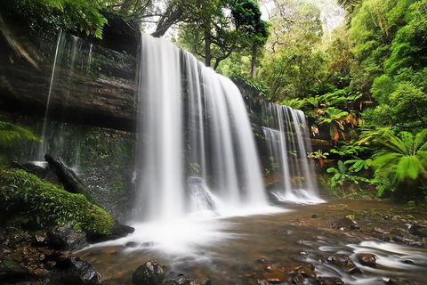 Mount Field Private Charter Service - Accommodation Tasmania 1