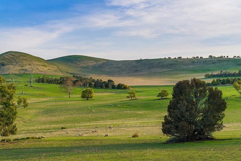 Mount Field Private Charter Service - Accommodation Tasmania 4