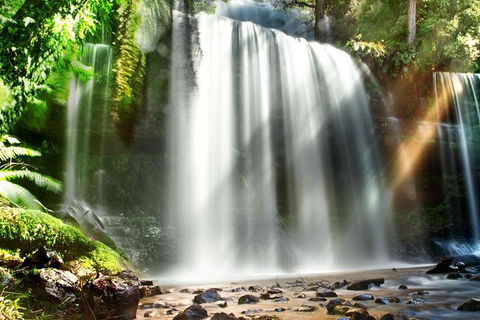 Mount Field Private Charter Service - Accommodation Tasmania 0