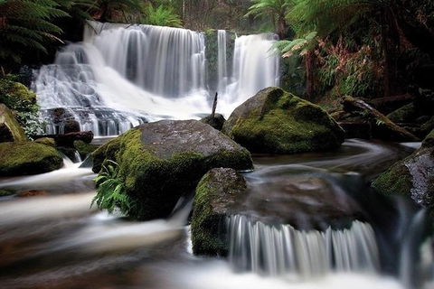 Highlights Of Tasmania Premium Small Group 7 Days Touring Package - Accommodation Tasmania 7
