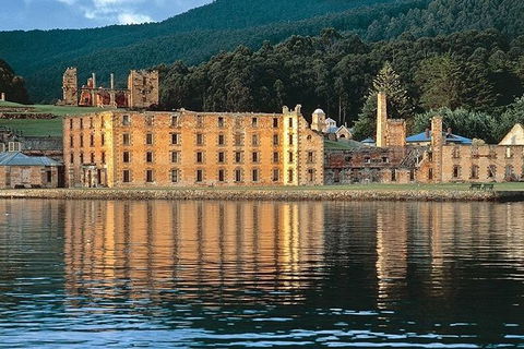 Highlights Of Tasmania Premium Small Group 7 Days Touring Package - Accommodation Tasmania 2