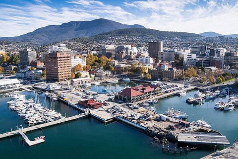 Highlights Of Tasmania Premium Small Group 7 Days Touring Package - Accommodation Tasmania 11