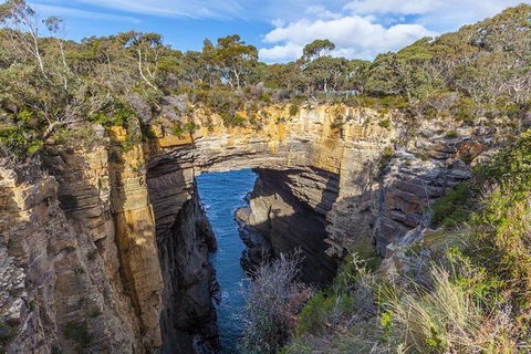 Highlights Of Tasmania Premium Small Group 7 Days Touring Package - Accommodation Tasmania 10