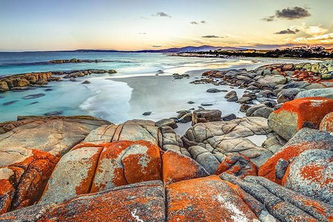 Highlights Of Tasmania Premium Small Group 7 Days Touring Package - Accommodation Tasmania 12