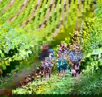 Hobart Highlights of Tasmanian Wine Full Day Tour - Accommodation Tasmania