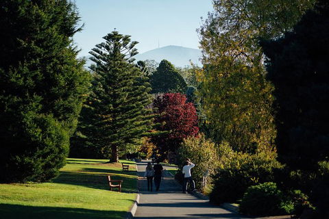 Private Royal Tasmanian Botanical Gardens Walking Tour - Accommodation Tasmania 3