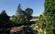 Private Royal Tasmanian Botanical Gardens Walking Tour - thumb 1