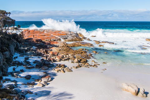 2-Day Tas East Coast Escape Tour Including Bay Of Fires, Wineglass Bay & Devils - Accommodation Tasmania 6