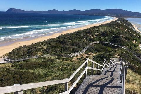 4-Day Fabulous Tasmania Tour: Wineglass Bay, Port Arthur, Devils & Bruny Island - Accommodation Tasmania 3