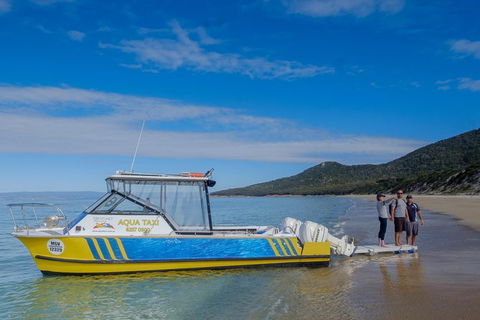 Sea & Explore Wineglass Bay & Freycinet National Park - Cruise & Walk - Accommodation Tasmania 7