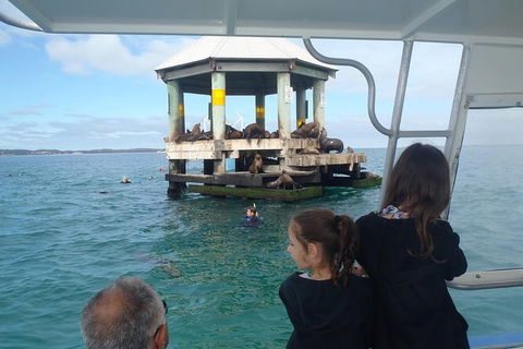 Sailing Cruise With Seals - Accommodation Tasmania 0