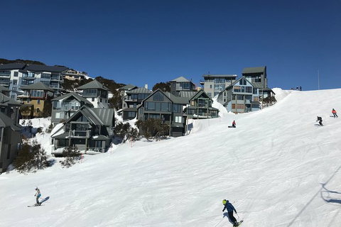 Alpine Ultimate Snow Trip - Accommodation Tasmania 1