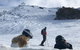 Alpine Ultimate Snow Trip - thumb 3