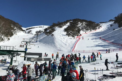 Alpine Ultimate Snow Trip - Accommodation Tasmania 4