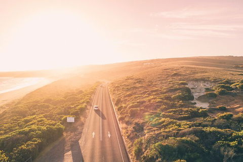 LGBT+ Friendly 2 Day Private Great Ocean Road Tour - Accommodation Tasmania 1