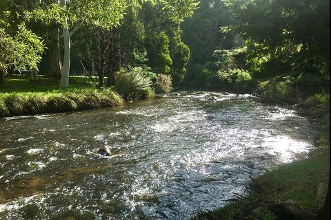 Watertube Experience In Yarra River - Accommodation Tasmania 3